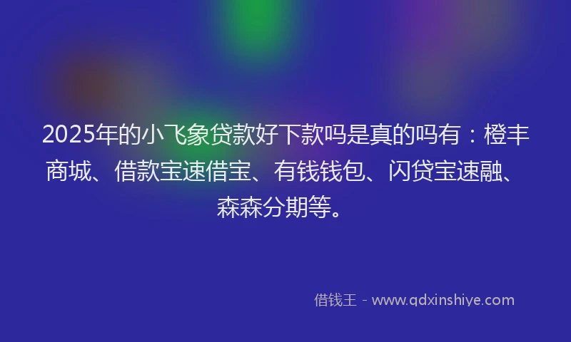 2025年的小飞象贷款好下款吗是真的吗有：橙丰商城、借款宝速借宝、有钱钱包、闪贷宝速融、森森分期等。