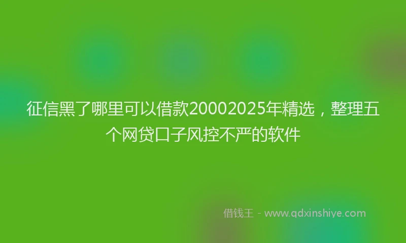 征信黑了哪里可以借款20002025年精选，整理五个网贷口子风控不严的软件