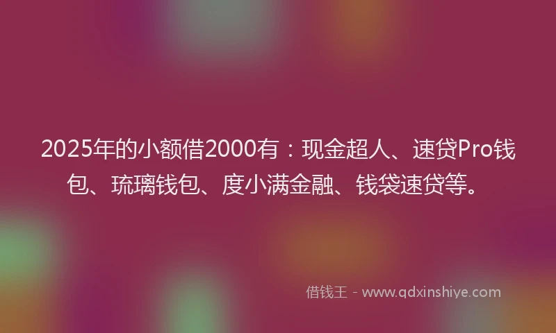 2025年的小额借2000有：现金超人、速贷Pro钱包、琉璃钱包、度小满金融、钱袋速贷等。