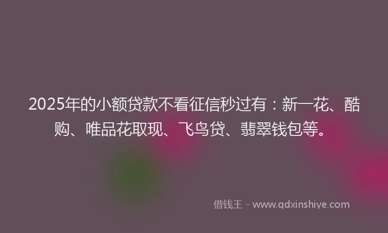 2025年的小额贷款不看征信秒过有：新一花、酷购、唯品花取现、飞鸟贷、翡翠钱包等。