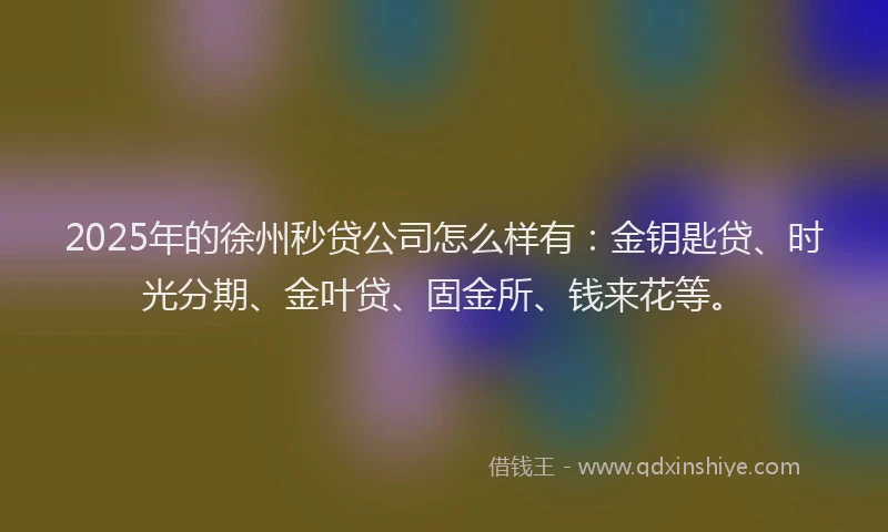 2025年的徐州秒贷公司怎么样有：金钥匙贷、时光分期、金叶贷、固金所、钱来花等。