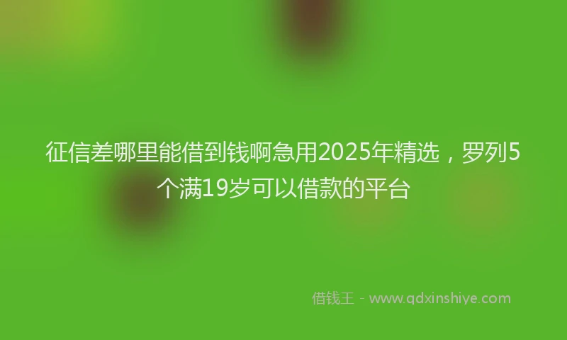 征信差哪里能借到钱啊急用2025年精选，罗列5个满19岁可以借款的平台