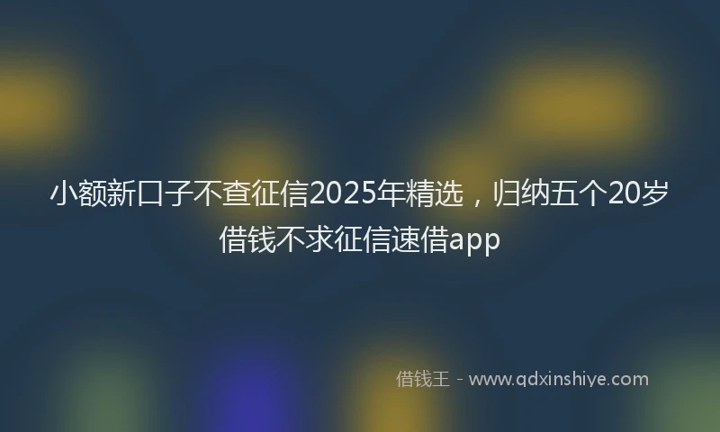小额新口子不查征信2025年精选，归纳五个20岁借钱不求征信速借app