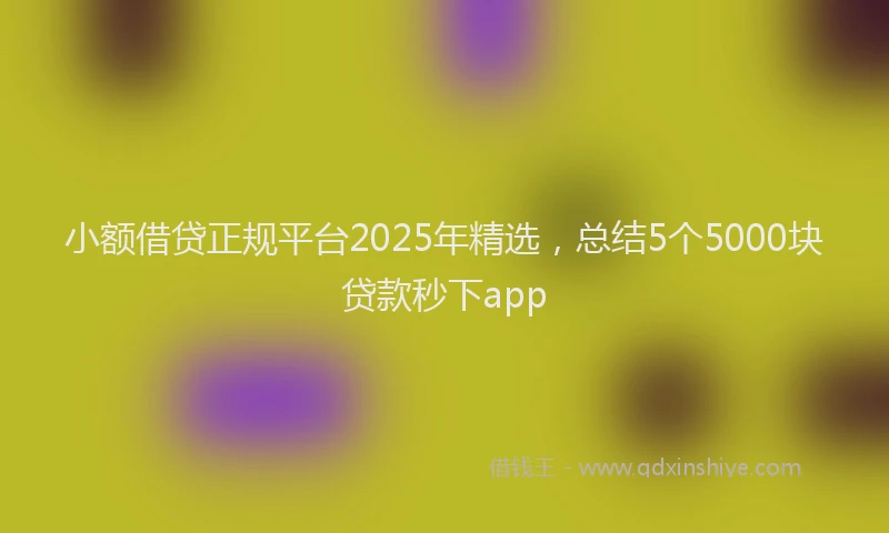 小额借贷正规平台2025年精选，总结5个5000块贷款秒下app