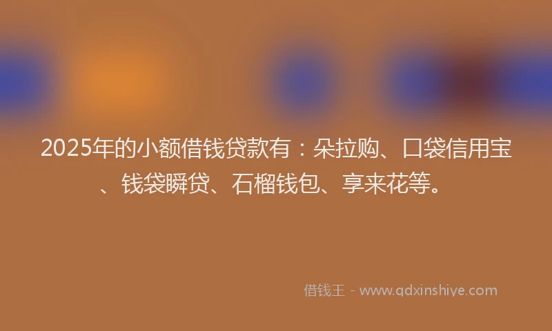 2025年的小额借钱贷款有：朵拉购、口袋信用宝、钱袋瞬贷、石榴钱包、享来花等。