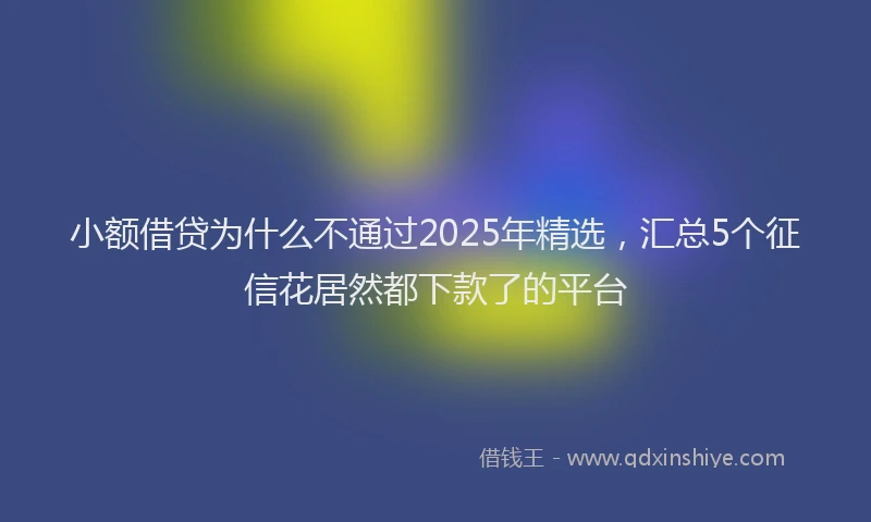 小额借贷为什么不通过2025年精选，汇总5个征信花居然都下款了的平台