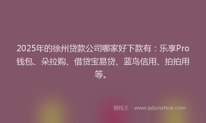 2025年的徐州贷款公司哪家好下款有：乐享Pro钱包、朵拉购、借贷宝易贷、蓝鸟信用、拍拍用等。