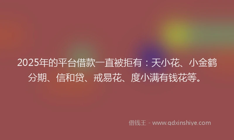 2025年的平台借款一直被拒有：天小花、小金鹤分期、信和贷、戒易花、度小满有钱花等。