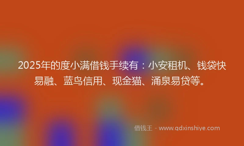 2025年的度小满借钱手续有：小安租机、钱袋快易融、蓝鸟信用、现金猫、涌泉易贷等。