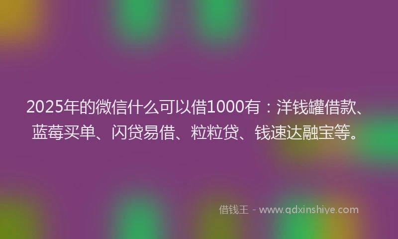 2025年的微信什么可以借1000有：洋钱罐借款、蓝莓买单、闪贷易借、粒粒贷、钱速达融宝等。