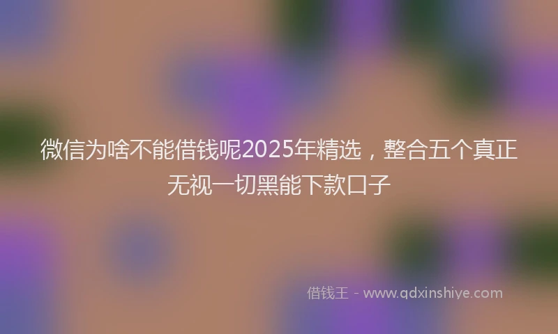 微信为啥不能借钱呢2025年精选，整合五个真正无视一切黑能下款口子