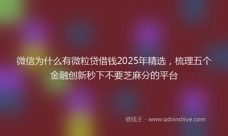 微信为什么有微粒贷借钱2025年精选，梳理五个金融创新秒下不要芝麻分的平台