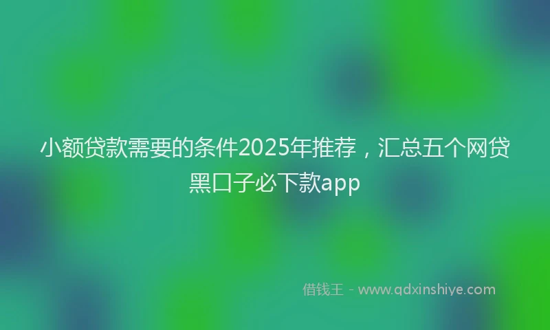 小额贷款需要的条件2025年推荐，汇总五个网贷黑口子必下款app