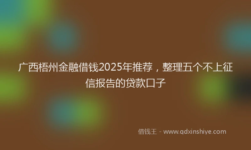 广西梧州金融借钱2025年推荐，整理五个不上征信报告的贷款口子