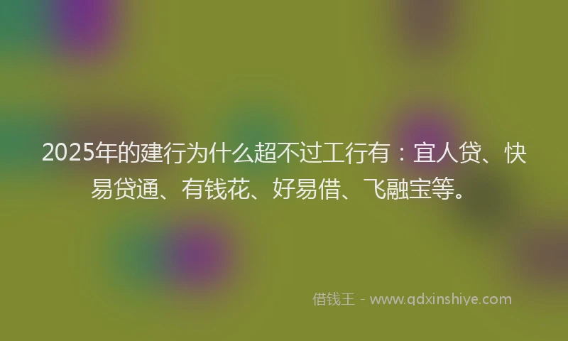 2025年的建行为什么超不过工行有：宜人贷、快易贷通、有钱花、好易借、飞融宝等。
