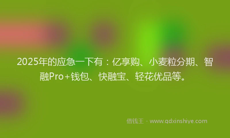 2025年的应急一下有：亿享购、小麦粒分期、智融Pro+钱包、快融宝、轻花优品等。
