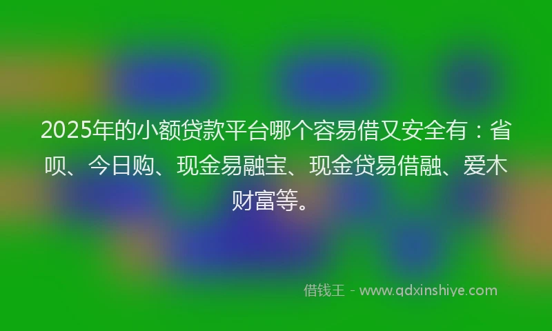 2025年的小额贷款平台哪个容易借又安全有：省呗、今日购、现金易融宝、现金贷易借融、爱木财富等。