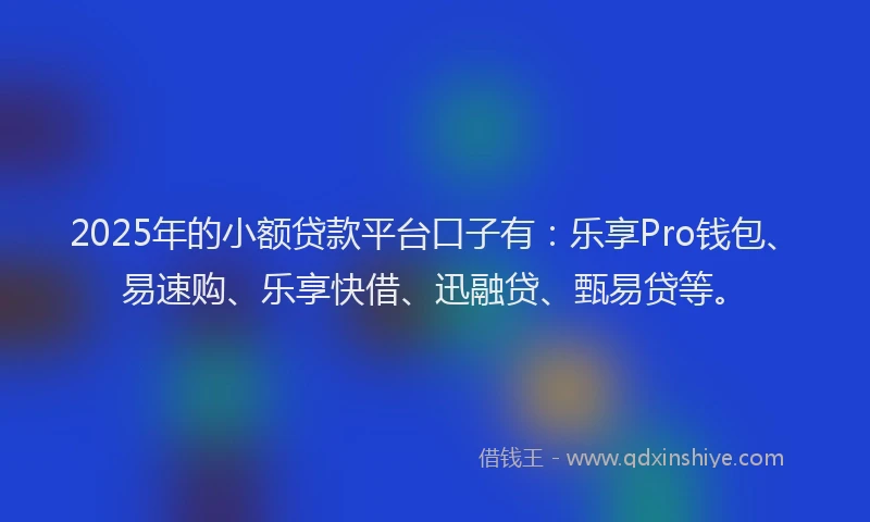 2025年的小额贷款平台口子有：乐享Pro钱包、易速购、乐享快借、迅融贷、甄易贷等。