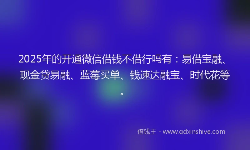 2025年的开通微信借钱不借行吗有：易借宝融、现金贷易融、蓝莓买单、钱速达融宝、时代花等。