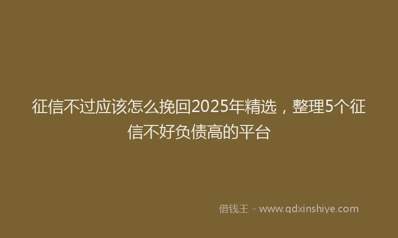 征信不过应该怎么挽回2025年精选，整理5个征信不好负债高的平台