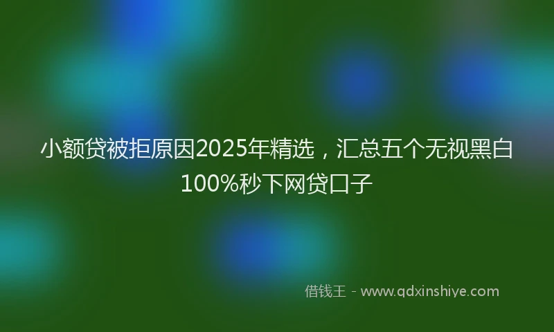 小额贷被拒原因2025年精选，汇总五个无视黑白100%秒下网贷口子