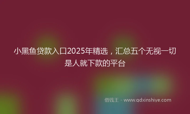 小黑鱼贷款入口2025年精选，汇总五个无视一切是人就下款的平台