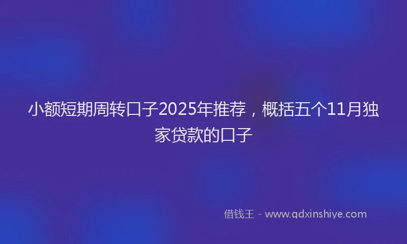 小额短期周转口子2025年推荐，概括五个11月独家贷款的口子