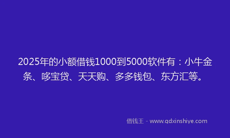 2025年的小额借钱1000到5000软件有：小牛金条、哆宝贷、天天购、多多钱包、东方汇等。