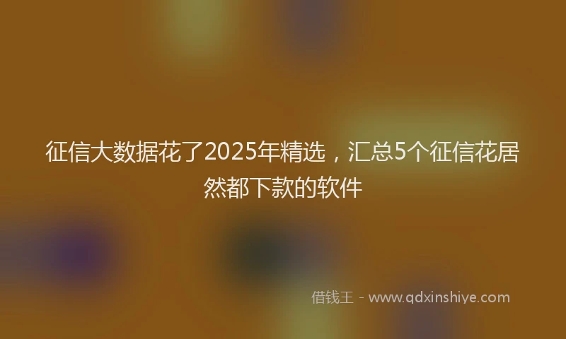 征信大数据花了2025年精选，汇总5个征信花居然都下款的软件