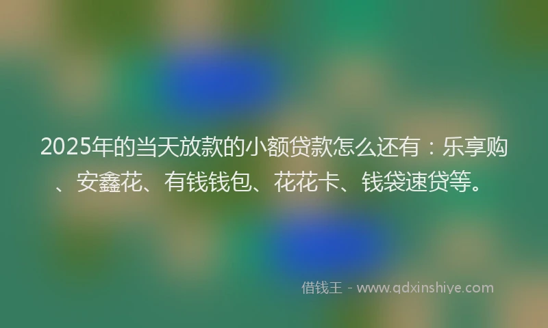 2025年的当天放款的小额贷款怎么还有：乐享购、安鑫花、有钱钱包、花花卡、钱袋速贷等。