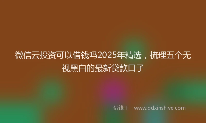 微信云投资可以借钱吗2025年精选，梳理五个无视黑白的最新贷款口子