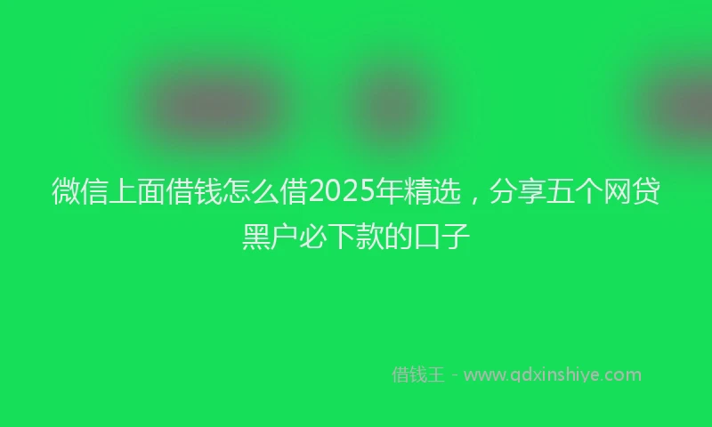 微信上面借钱怎么借2025年精选，分享五个网贷黑户必下款的口子