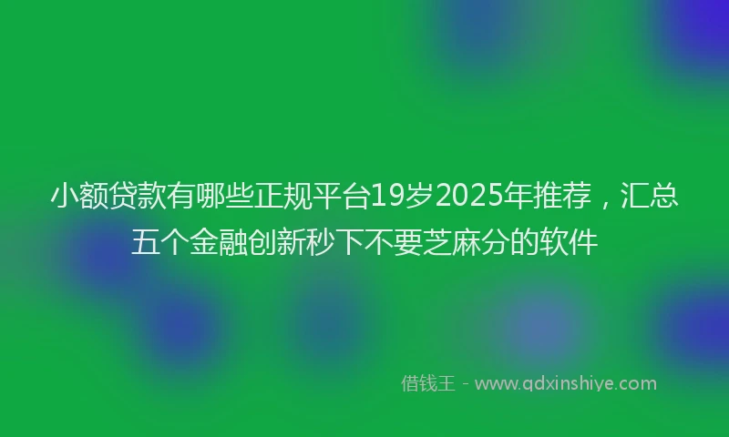 小额贷款有哪些正规平台19岁2025年推荐，汇总五个金融创新秒下不要芝麻分的软件