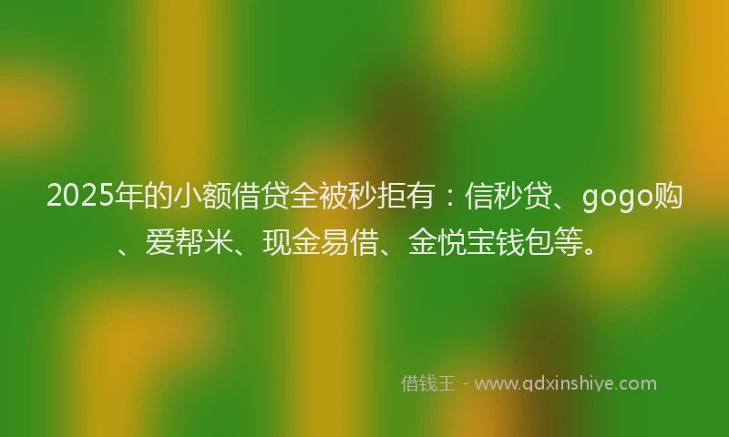 2025年的小额借贷全被秒拒有：信秒贷、gogo购、爱帮米、现金易借、金悦宝钱包等。