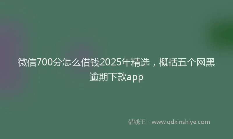 微信700分怎么借钱2025年精选，概括五个网黑逾期下款app