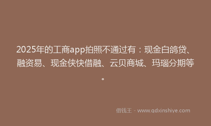 2025年的工商app拍照不通过有：现金白鸽贷、融资易、现金侠快借融、云贝商城、玛瑙分期等。