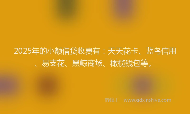 2025年的小额借贷收费有：天天花卡、蓝鸟信用、易支花、黑鲸商场、橄榄钱包等。