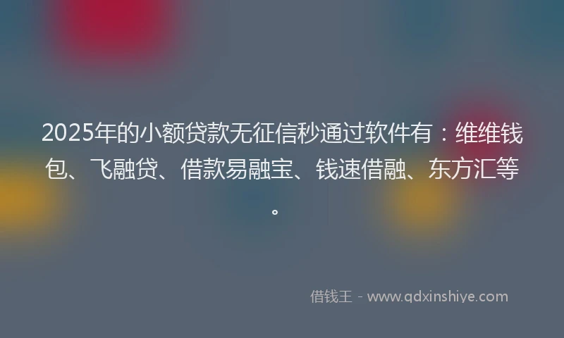 2025年的小额贷款无征信秒通过软件有：维维钱包、飞融贷、借款易融宝、钱速借融、东方汇等。