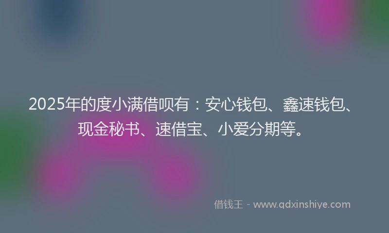2025年的度小满借呗有：安心钱包、鑫速钱包、现金秘书、速借宝、小爱分期等。