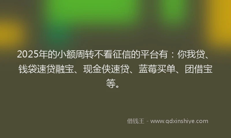 2025年的小额周转不看征信的平台有：你我贷、钱袋速贷融宝、现金侠速贷、蓝莓买单、团借宝等。