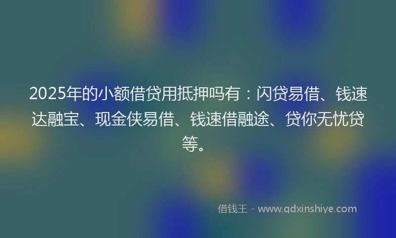 2025年的小额借贷用抵押吗有：闪贷易借、钱速达融宝、现金侠易借、钱速借融途、贷你无忧贷等。