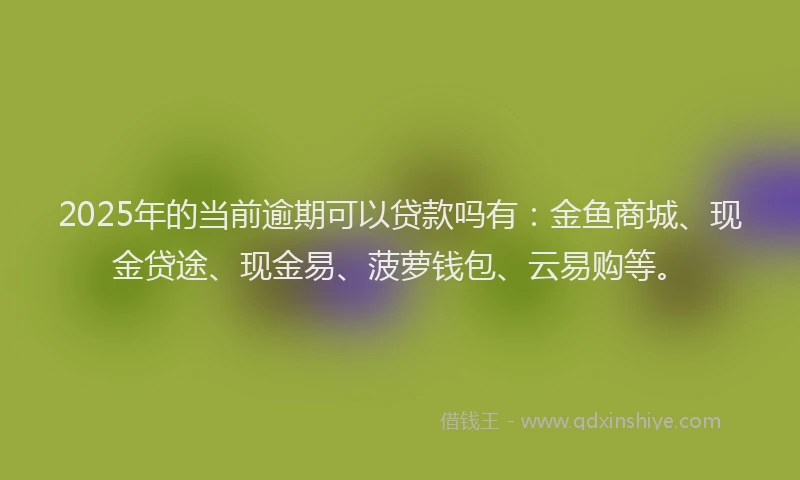 2025年的当前逾期可以贷款吗有：金鱼商城、现金贷途、现金易、菠萝钱包、云易购等。