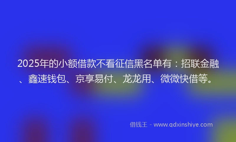 2025年的小额借款不看征信黑名单有：招联金融、鑫速钱包、京享易付、龙龙用、微微快借等。