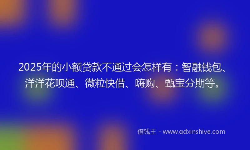 2025年的小额贷款不通过会怎样有：智融钱包、洋洋花呗通、微粒快借、嗨购、甄宝分期等。