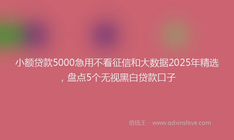 小额贷款5000急用不看征信和大数据2025年精选，盘点5个无视黑白贷款口子