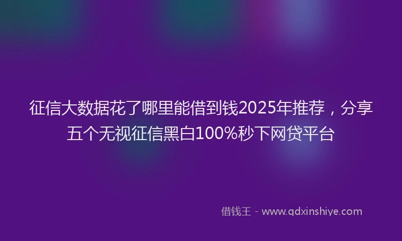 征信大数据花了哪里能借到钱2025年推荐，分享五个无视征信黑白100%秒下网贷平台