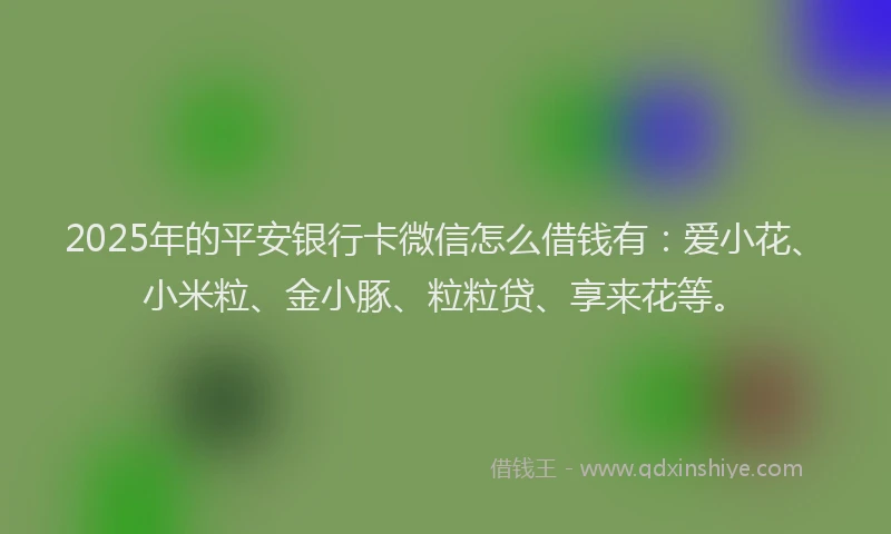2025年的平安银行卡微信怎么借钱有：爱小花、小米粒、金小豚、粒粒贷、享来花等。