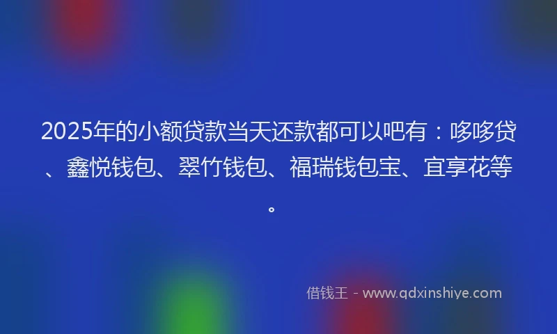 2025年的小额贷款当天还款都可以吧有：哆哆贷、鑫悦钱包、翠竹钱包、福瑞钱包宝、宜享花等。