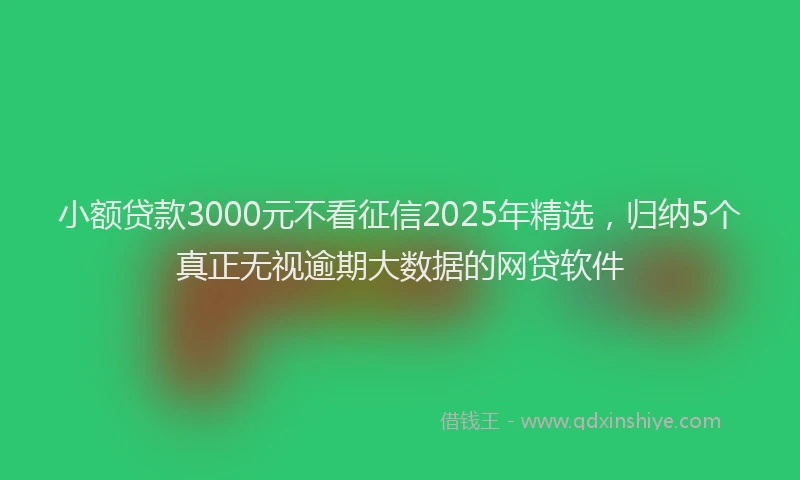 小额贷款3000元不看征信2025年精选，归纳5个真正无视逾期大数据的网贷软件