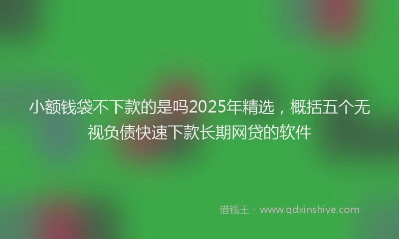 小额钱袋不下款的是吗2025年精选，概括五个无视负债快速下款长期网贷的软件